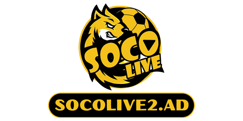 logo footer