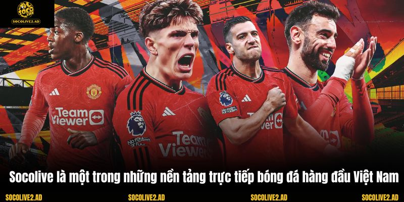 Socolive là một trong những nền tảng trực tiếp bóng đá hàng đầu Việt Nam