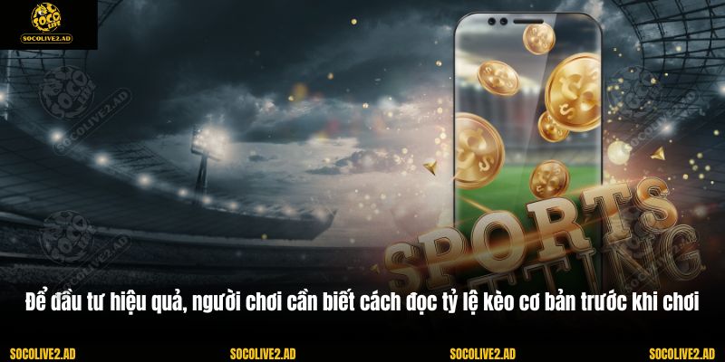Để đầu tư hiệu quả, người chơi cần biết cách đọc tỷ lệ kèo cơ bản trước khi chơi