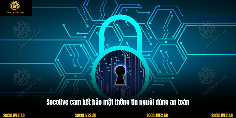 Socolive cam kết bảo mật thông tin người dùng an toàn