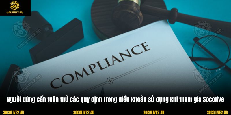 Người dùng cần tuân thủ các quy định trong điều khoản sử dụng khi tham gia Socolive